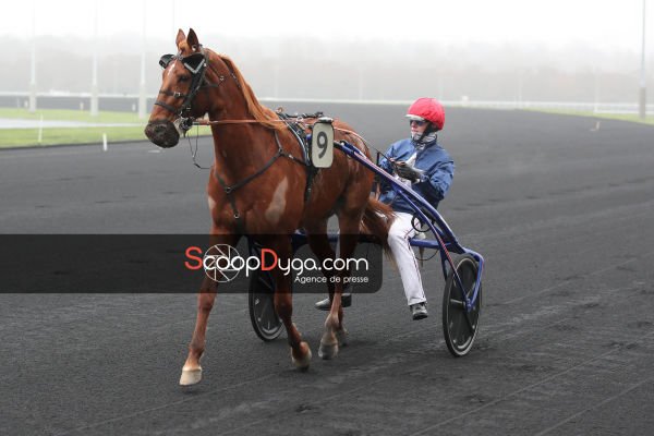 Ghalie du Goutier est le cheval du jour