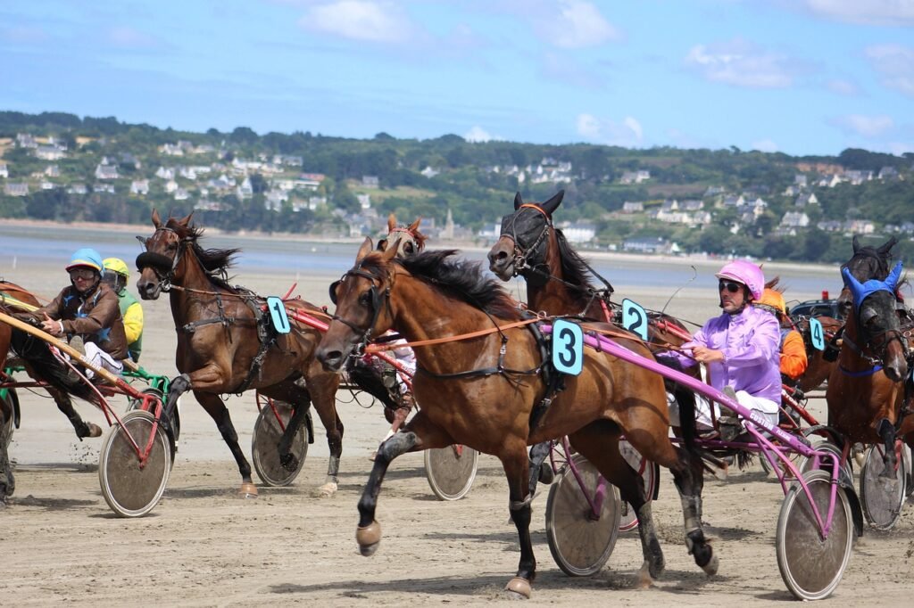 Le cheval du jour va-t-il s'imposer?