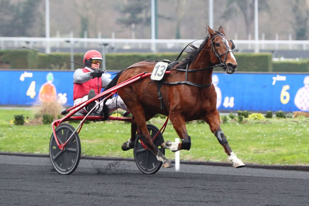 Goliath du Caux est le cheval du jour