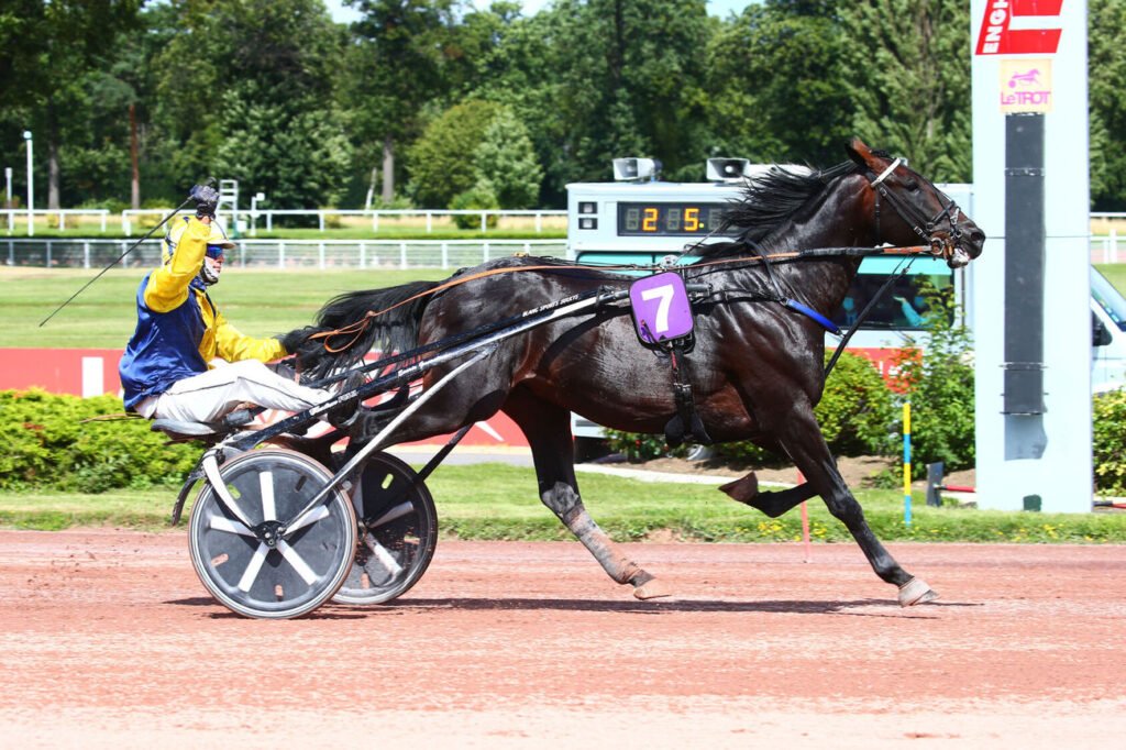 Great of Madrik est le cheval du jour