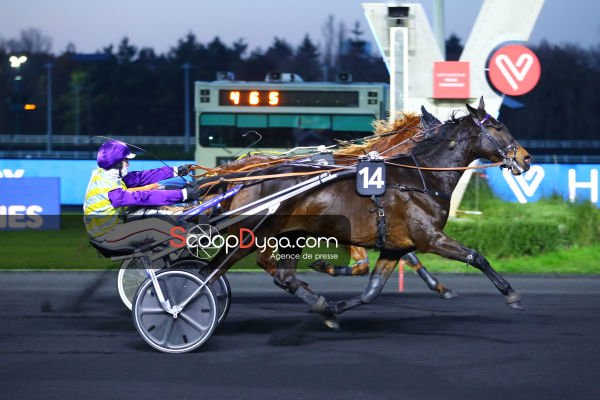 Gipsy du Ried est le cheval du jour