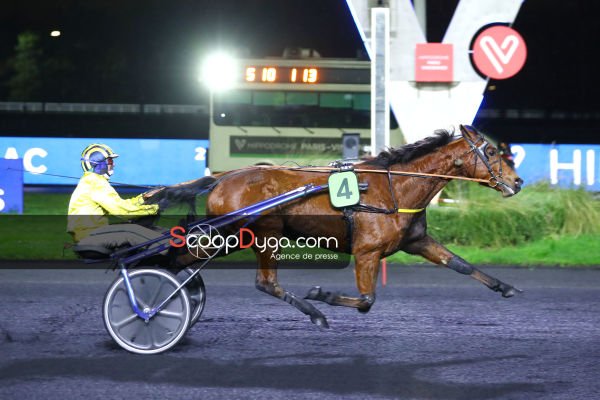 Graphiste Dream est le cheval du jour