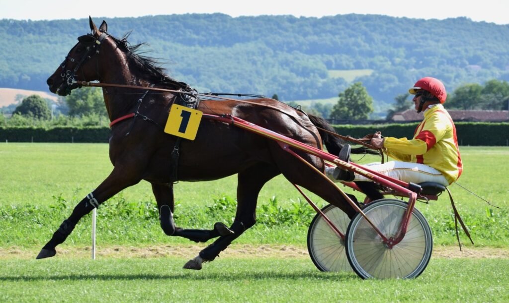 Gridy Cadurcien est le cheval du jour