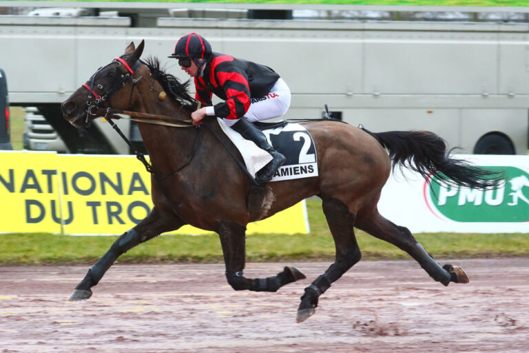 Amiens : Quelques Candidatures à suivre (03/11/2023)