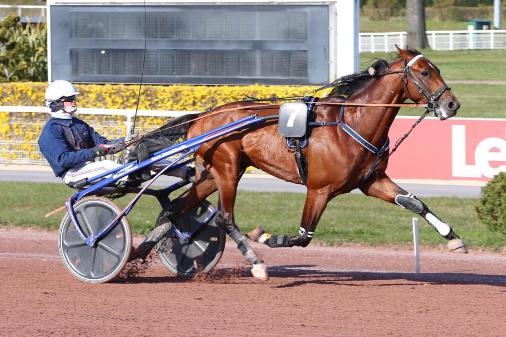 Head of State est le cheval du jour