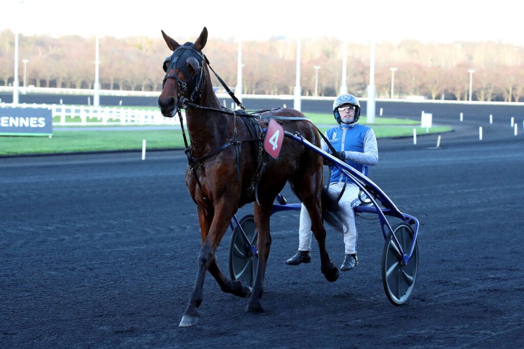 Idole de Chenu est le cheval du jour