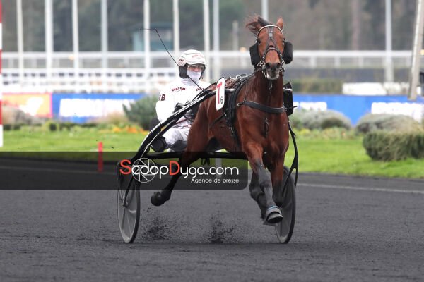 le cheval du jour est Jacara du Pont