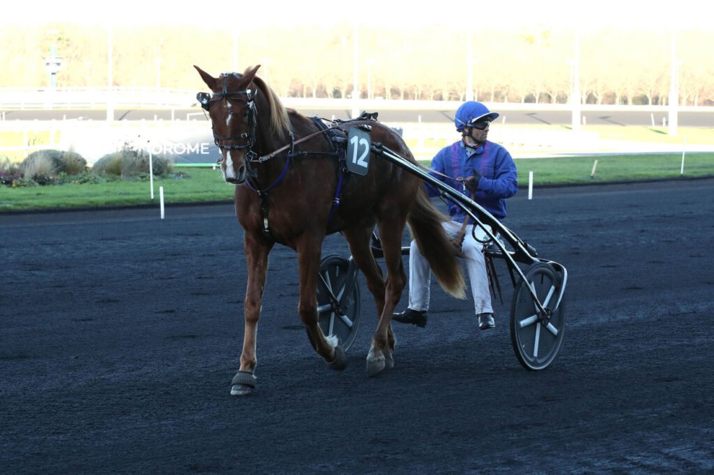 Jafar de Faël est le cheval du jour