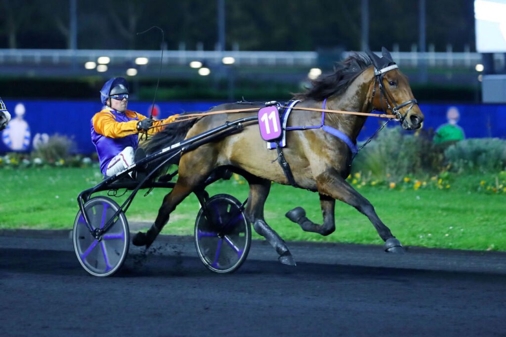 Emeraude de Bais est le cheval du jour