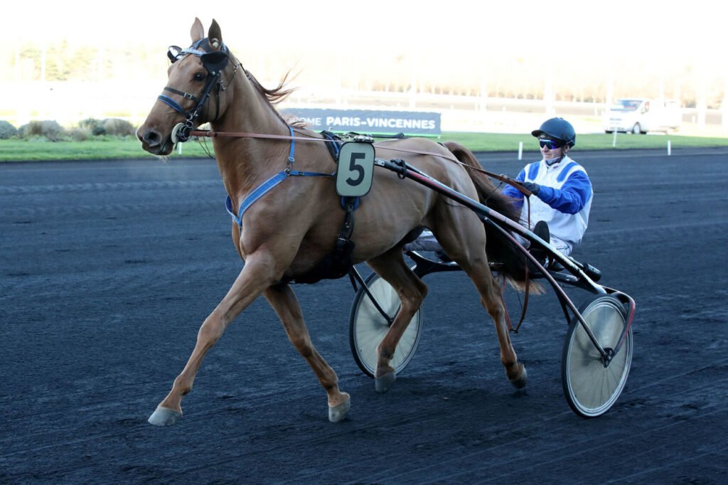 Galon de Vire est le cheval du jour