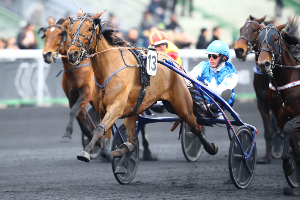 Hello Sport est le cheval du jour