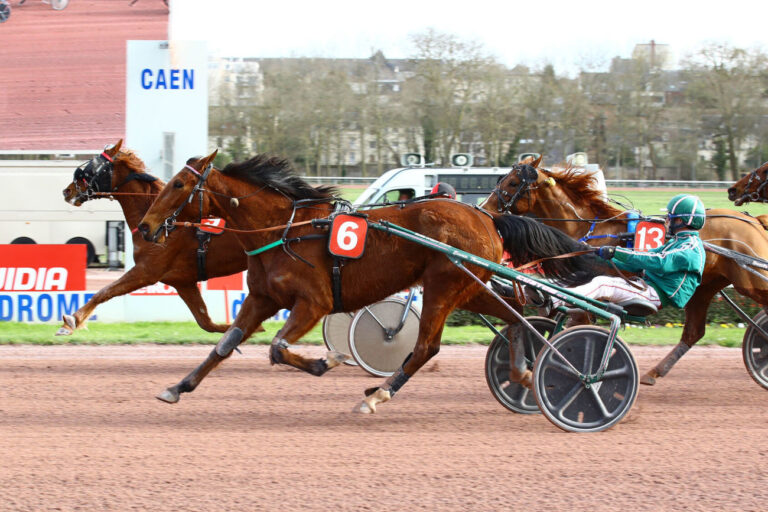 Direction Caen, nos préférés de ce Lundi