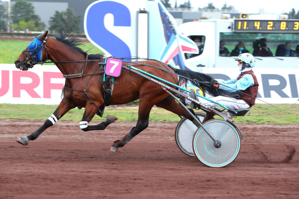 Ibis Quick est le cheval du jour