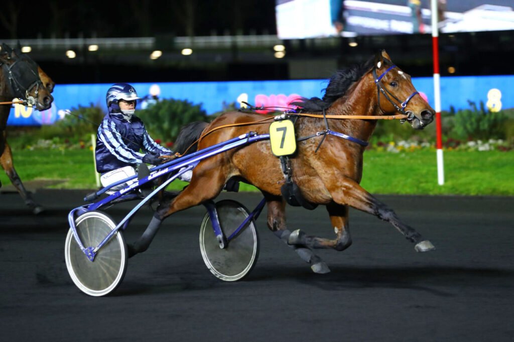 Jamin de Brion est le cheval du jour