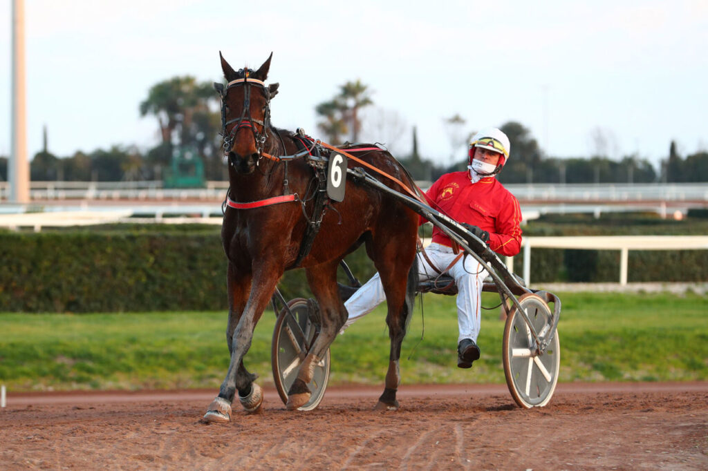 Javanaise Turgot est le cheval du jour