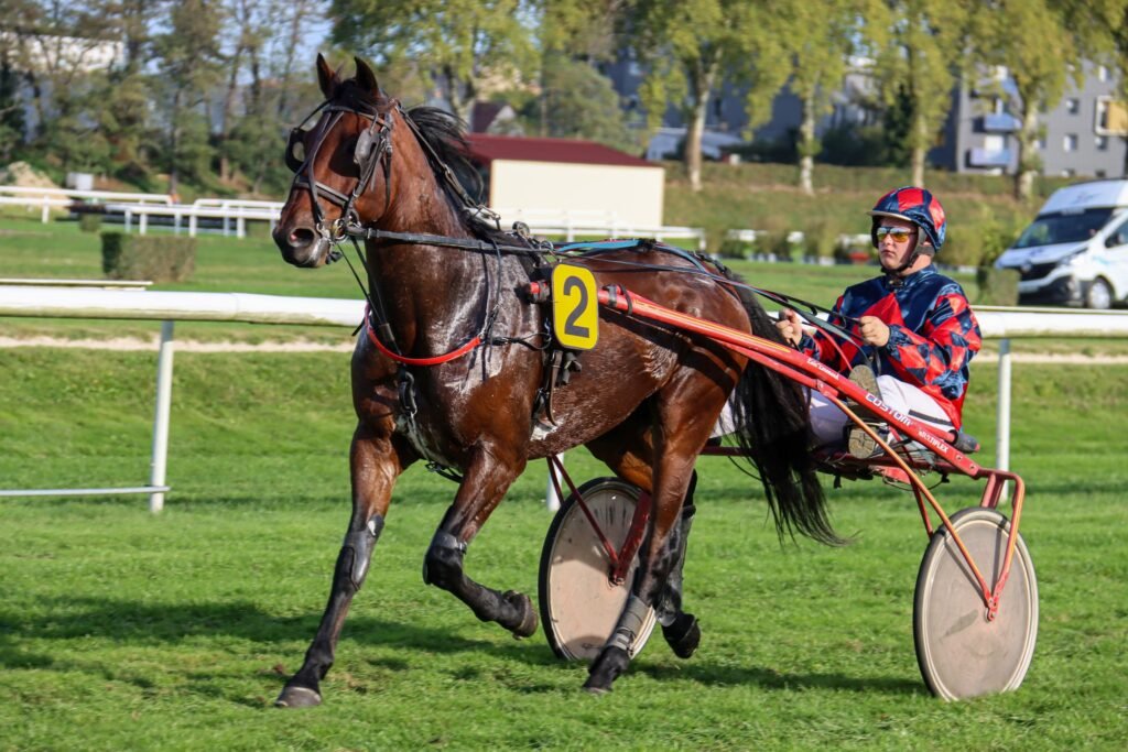 Pierrick Lerenard