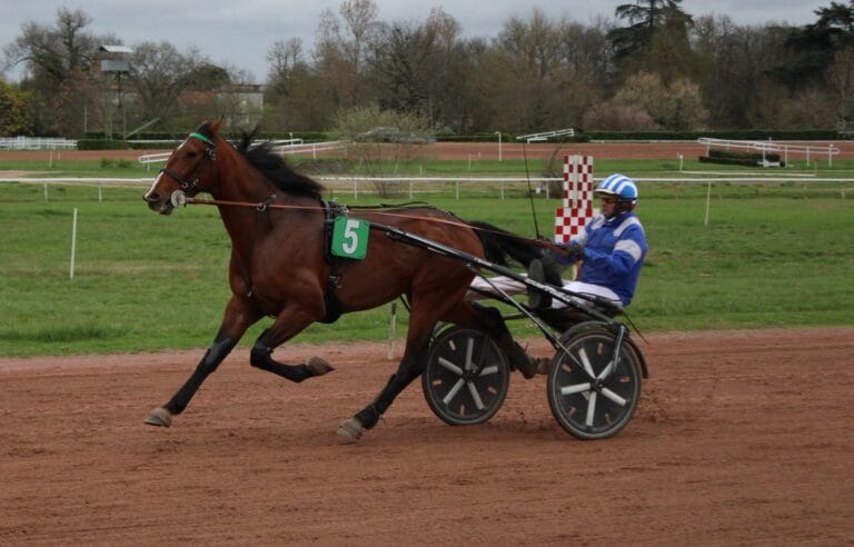 Analyse de la réunion de Graignes du 05/02/2024