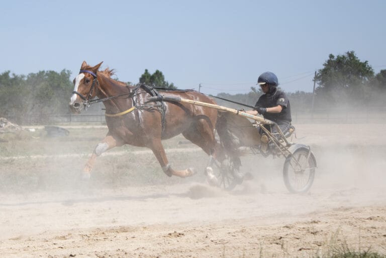 Des visiteurs ambitieux à Agen la Garenne ce samedi