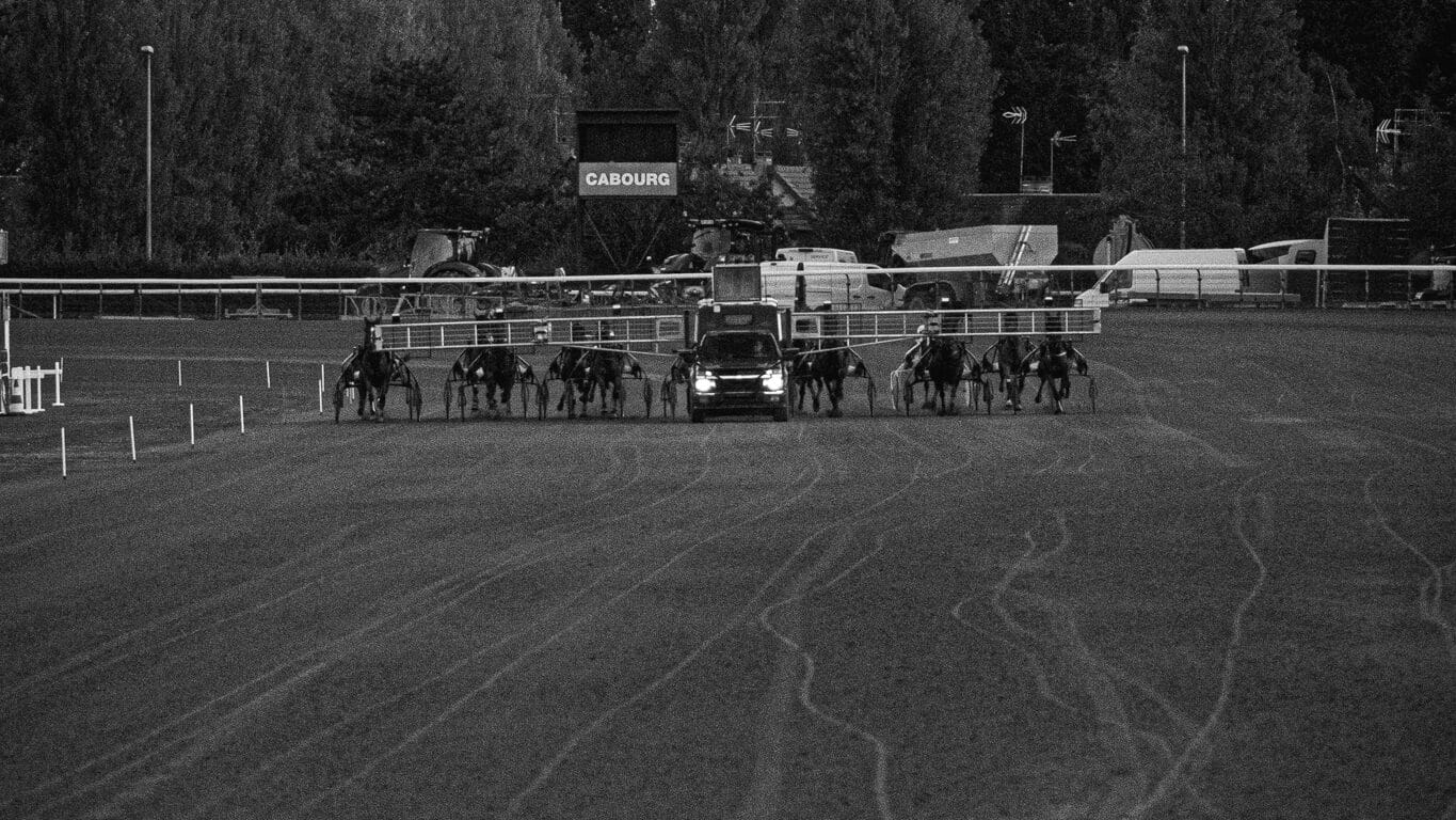 Jonquille d'Aimte s'élancera sur l'hippodrome de Cabourg.