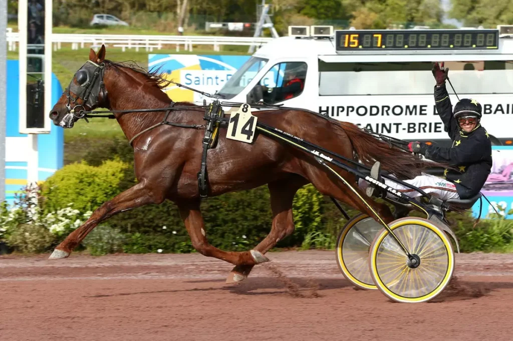 Equejuelo