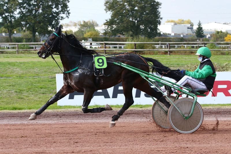 Hasur Dairpet est le cheval du jour