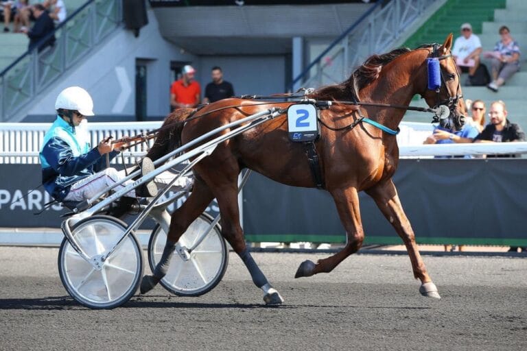 Dossier : La Revue d&rsquo;effectif de l&rsquo;Écurie Griff