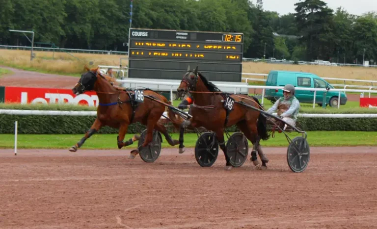 « Lotta Bourbon est une première chance »