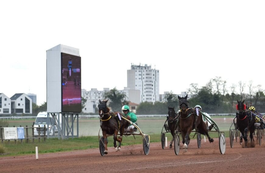 Le Cheval du Jour – 12/11/2025