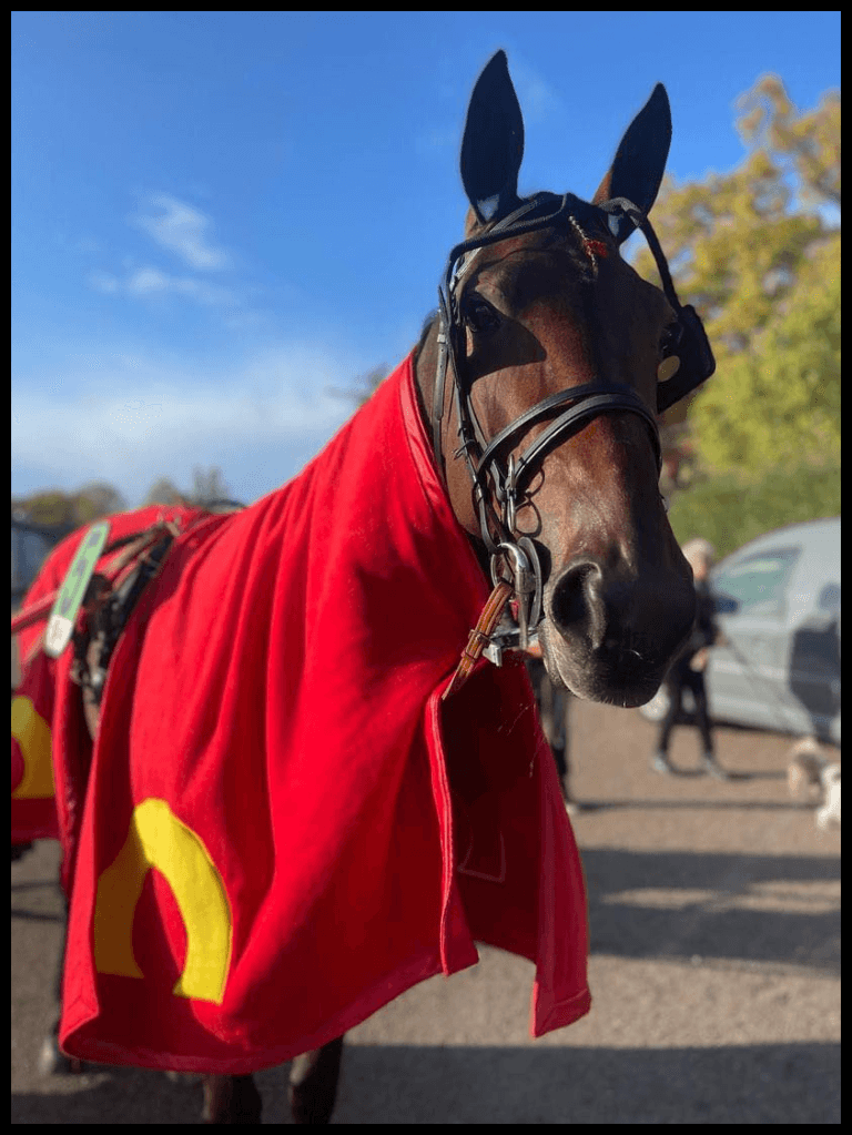 Les courses de ce dimanche 24 décembre à Vincennes