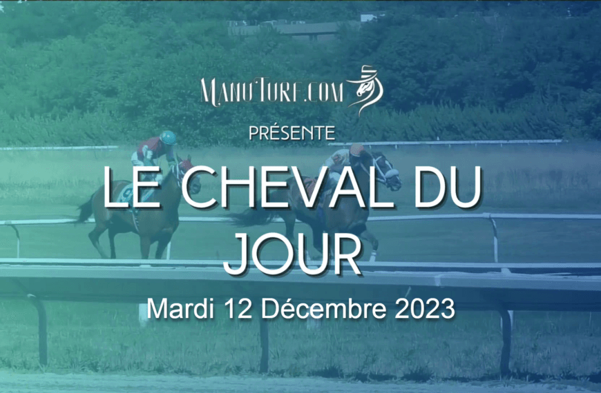 Le Cheval du Jour – 12/12/2023