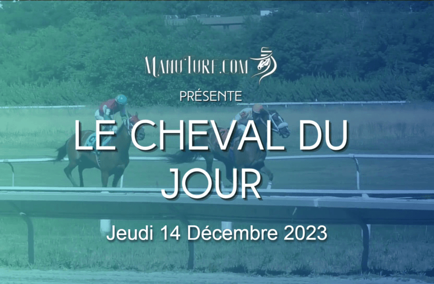 Le Cheval du Jour – 14/12/2023
