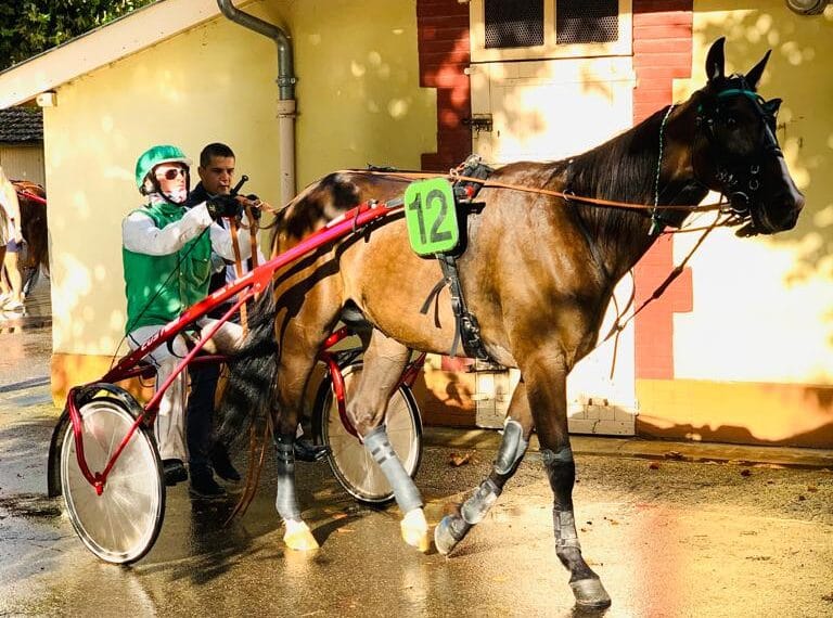 Notre sélection de chevaux à suivre (R3 : Cordemais)