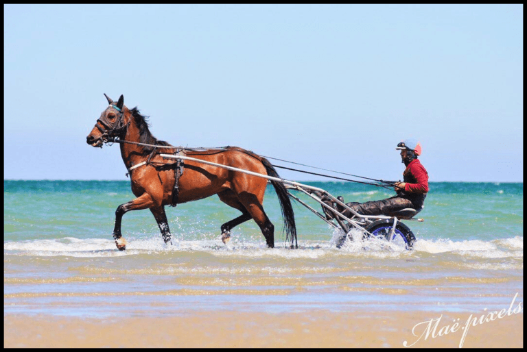 Une nouvelle étape du challenge Marolles-en-Brie ce mardi