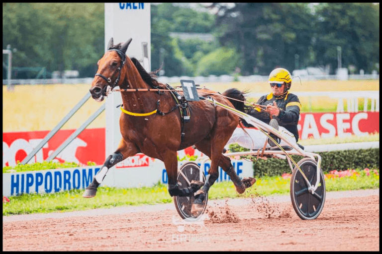 Les temps forts de ce lundi à Vincennes !