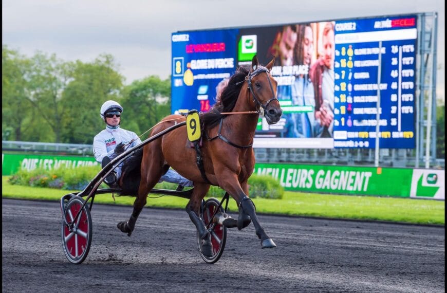 Le Cheval du Jour – 27/09/2024
