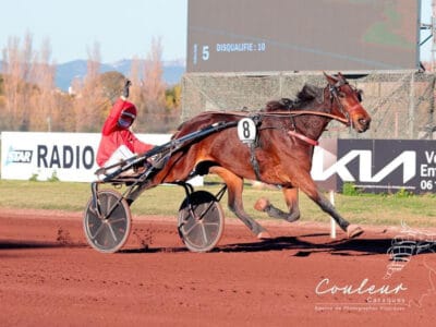 Javanaise Turgot et Théo Briand