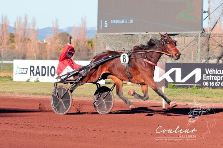 Javanaise Turgot et Théo Briand