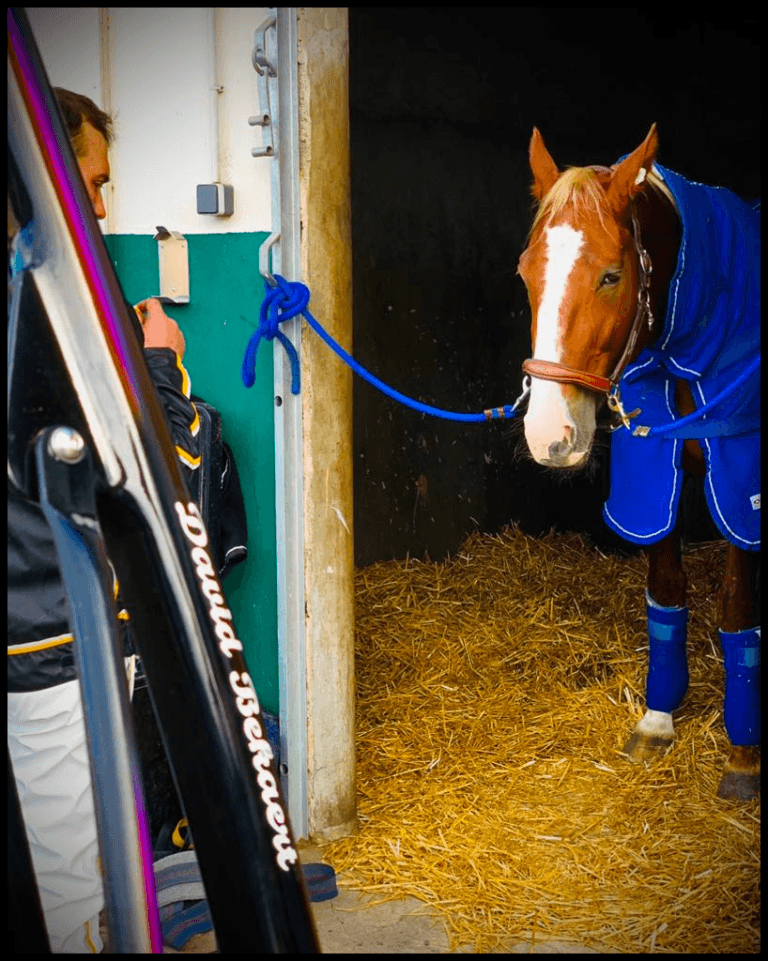 Les chances de David Bekaert ce dimanche à Saint-Galmier !