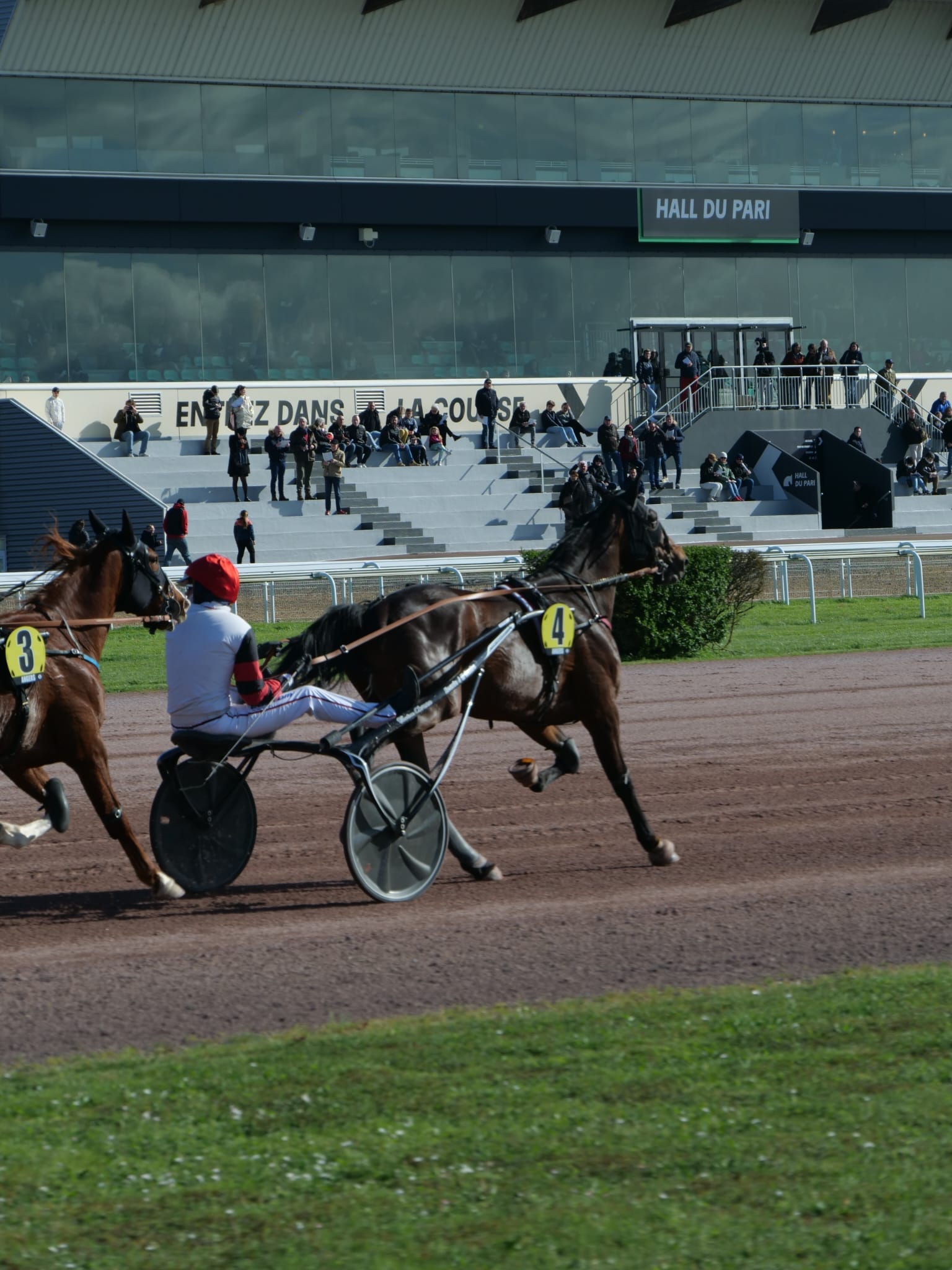 Lord du Gers - Cheval du Jour - 24/10/2025