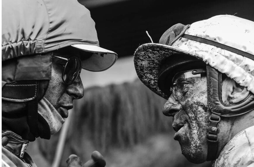 Le Cheval du Jour – 02/07/2025