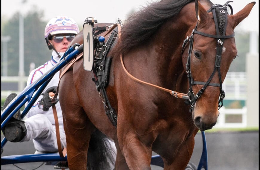 Le Cheval du Jour – 24/07/2024