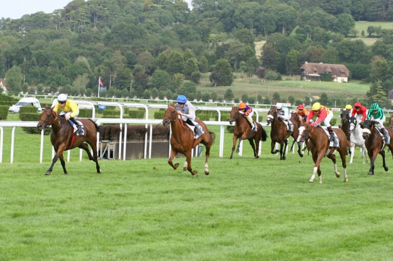 Une course de plat à Clairefontaine-Deauville - Source : Hippodrome de Deauville - Clairefontaine