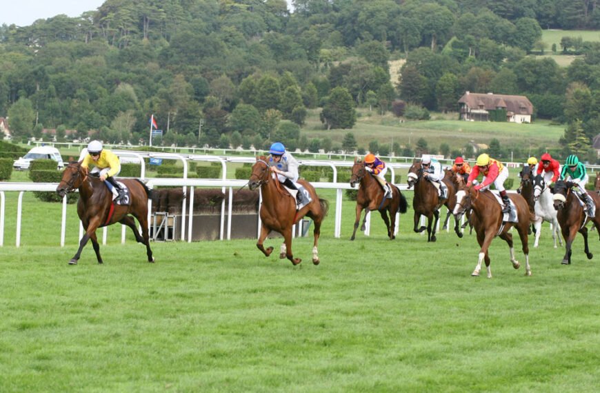 Une course de plat à Clairefontaine-Deauville - Source : Hippodrome de Deauville - Clairefontaine