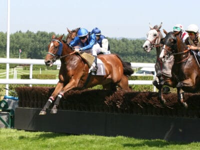 Hippodrome de Clairefontaine-Deauville - Source : Hippodrome de Deauville - Clairefontaine