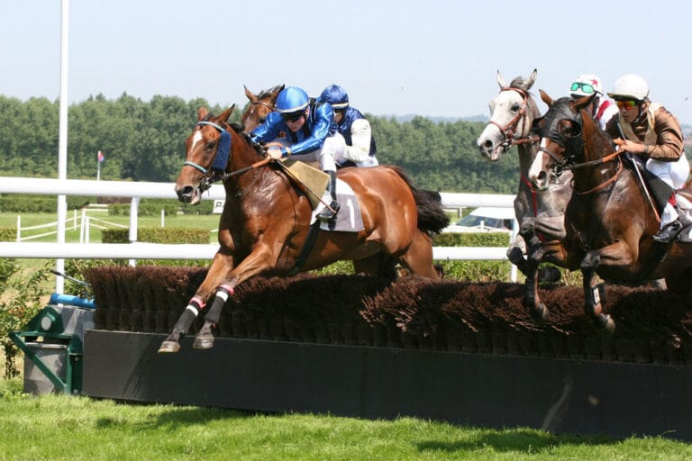 Hippodrome de Clairefontaine-Deauville - Source : Hippodrome de Deauville - Clairefontaine