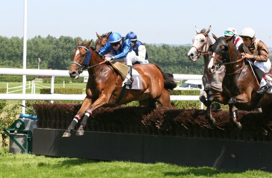Hippodrome de Clairefontaine-Deauville - Source : Hippodrome de Deauville - Clairefontaine