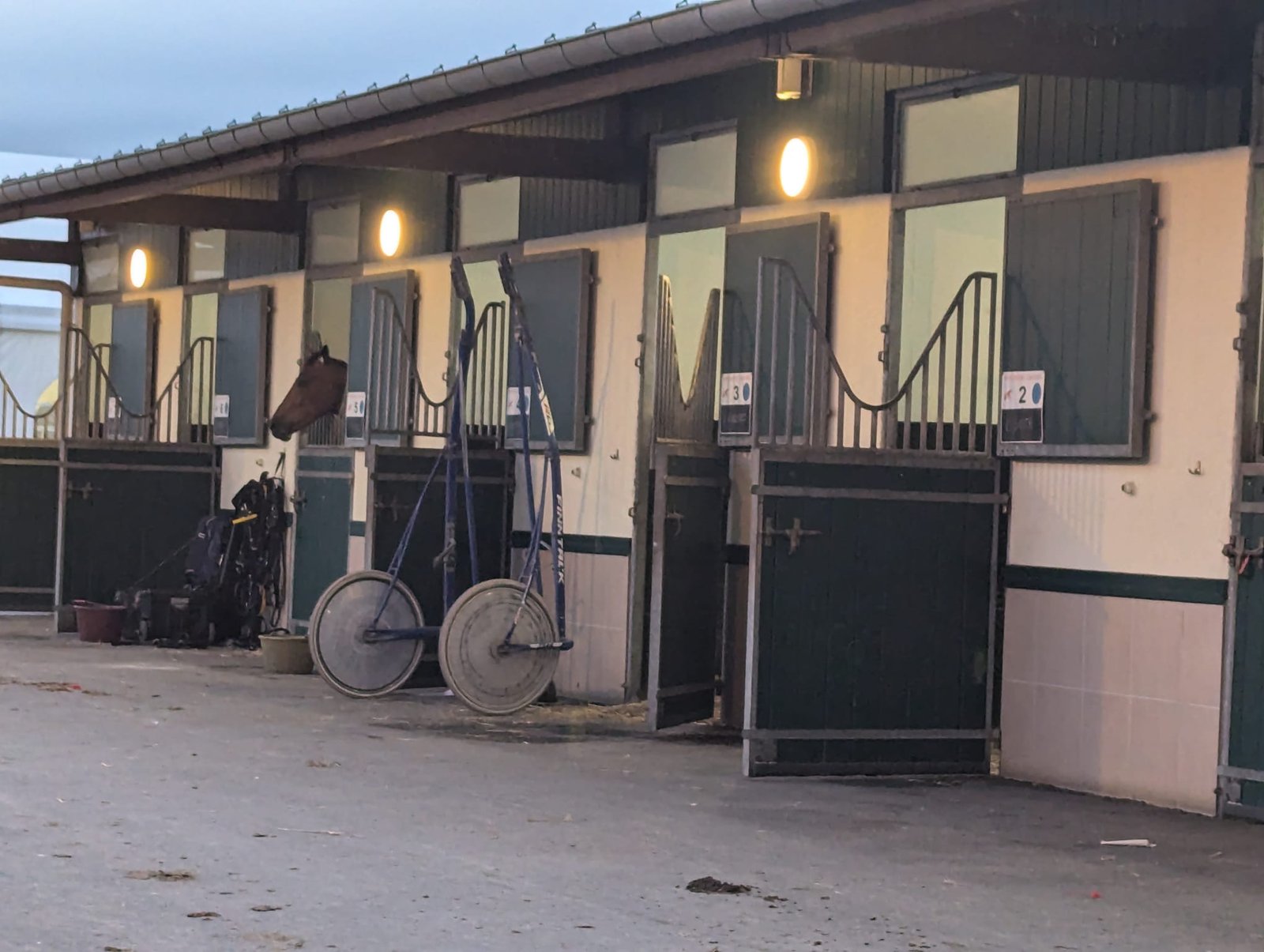 Hippodrome de Cabourg - pronostics du 22/07/2025 - ManuTurf