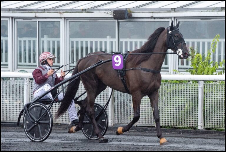 Luciano Menuet, dernière échéance avant le critérium des 3 ans. 