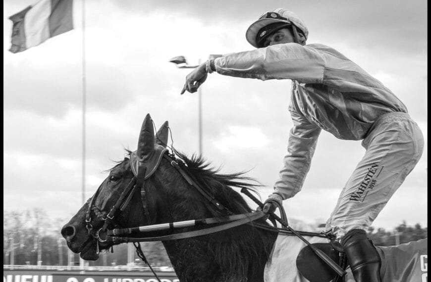 Le Cheval du Jour – 21/08/2024