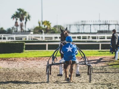 Hippodrome de la Côte d'Azur